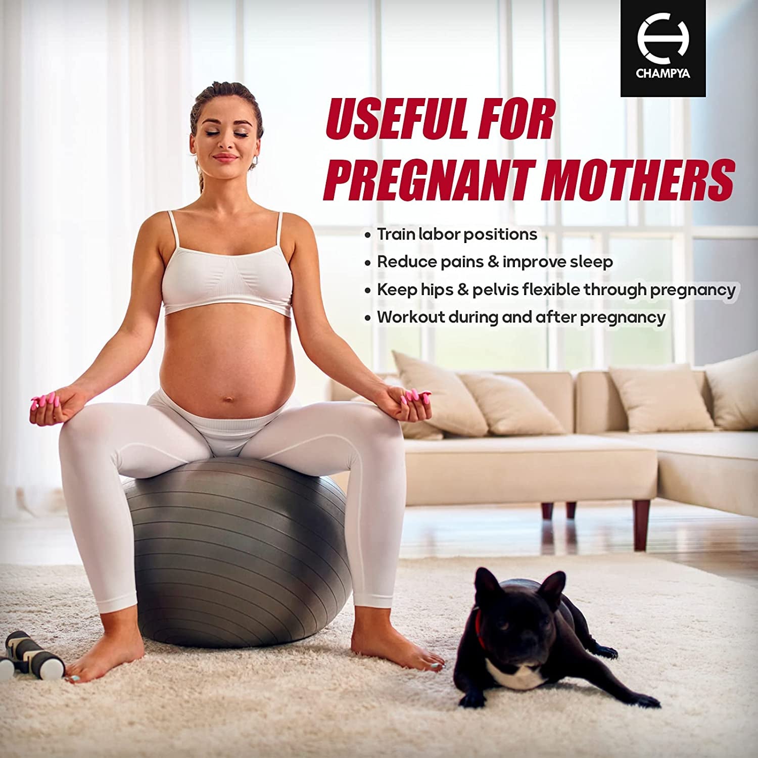๐๐๐๐ ๐ฃ๐ฌ๐ ๐๐
๐ฒ๐ฟ๐ฐ๐ถ๐๐ฒ ๐๐ฎ๐น๐น for Working Out 65 Cm - Yoga Ball Chair & Balance Ball for Pregnancy, Birthing Physical Therapy & Chair for Office - Stability Ball & Stainless Steel Pilates Bar for Workout