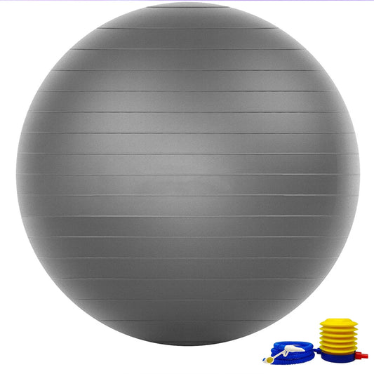 Exercise Ball Extra Thick Yoga Ball Chair, (25.6 In. Silver) Heavy Duty Stability Ball Supports 397 Lbs., Birthing Ball with Quick Pump (Office & Home & Gym)